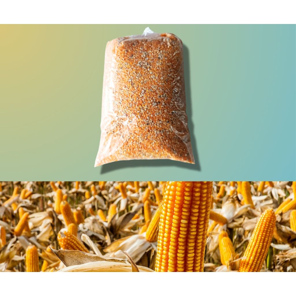 

Jagung Kristal Utuh dan Giling 500gram