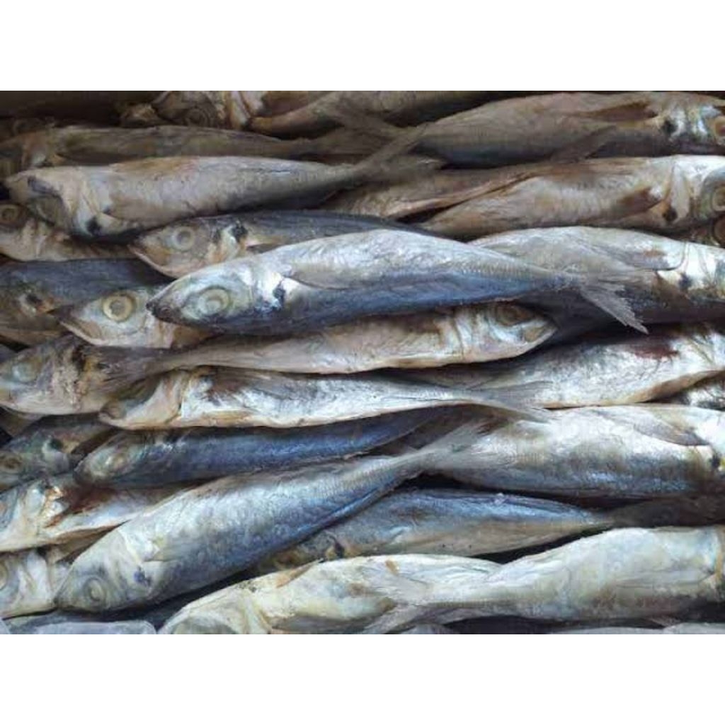 

Ikan Asing Layang 100 gram