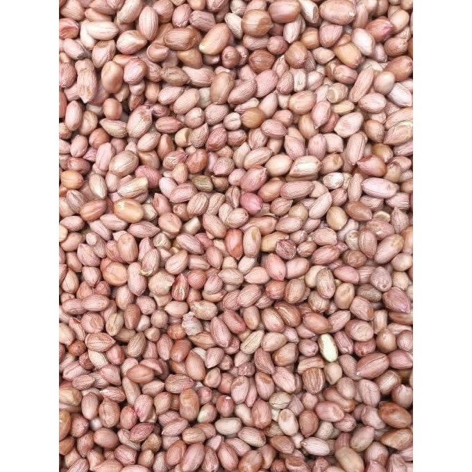 

Kacang tanah india fresh 1 kg