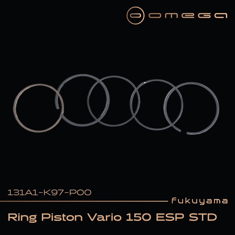 Fukuyama Ring Seher / Ring Piston Vario 150 ESP