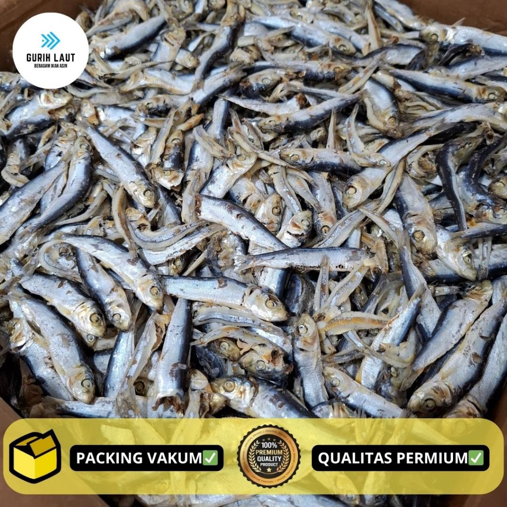 

IKAN JAPUH CUEK KUALITAS SUPER