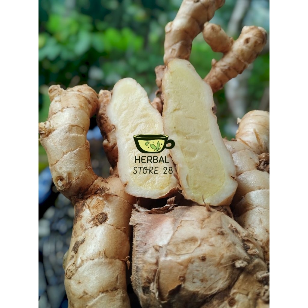 

kunyit putih/1kg . temu putih pres/segar alami Herbal Store 28