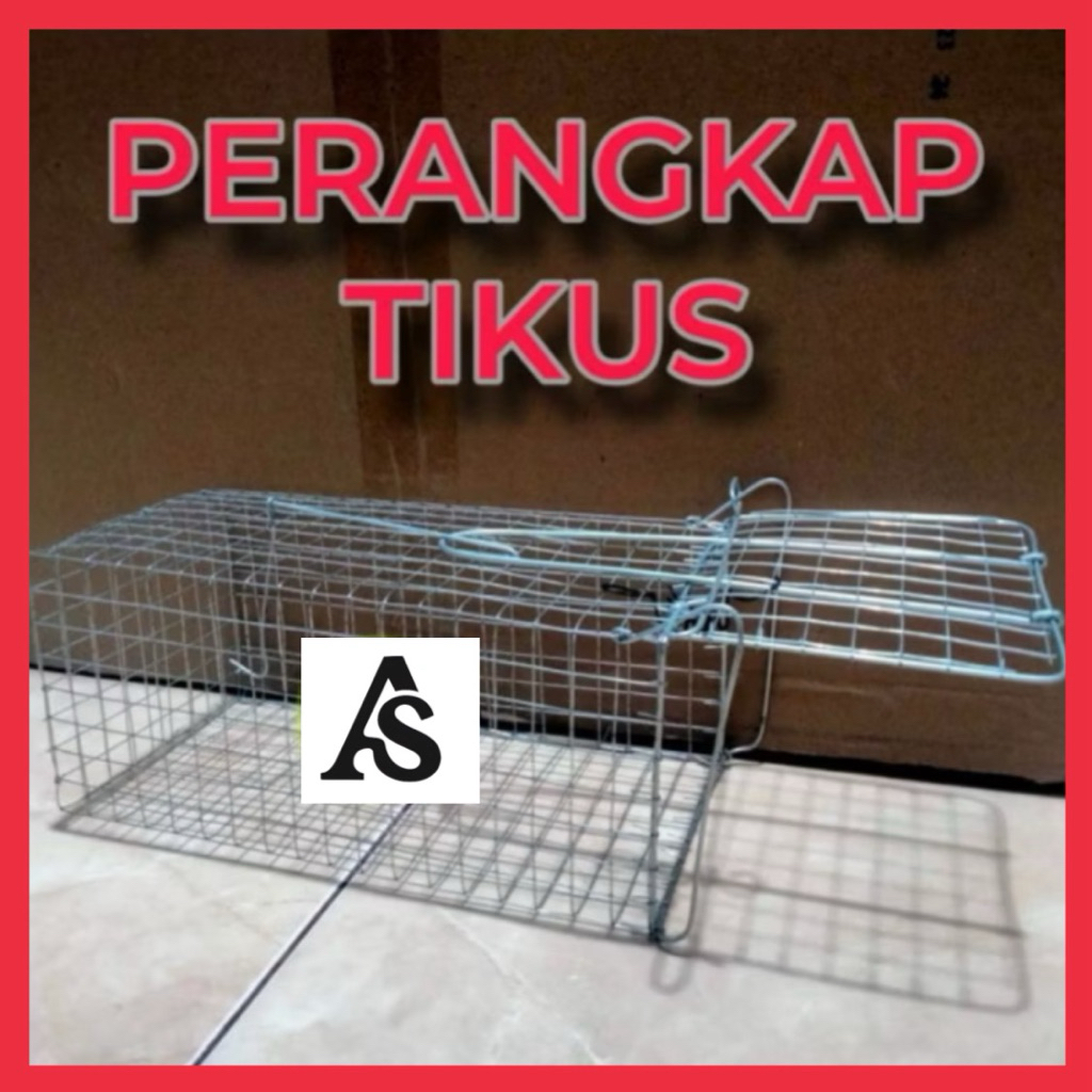 perangkap tikus kawat jebakan tikus efektif