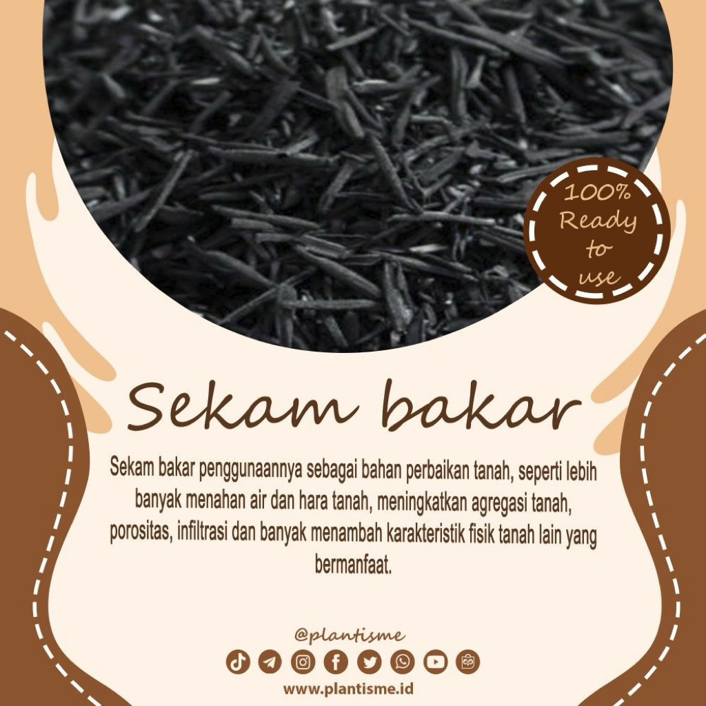 Arang Sekam/Sekam Bakar