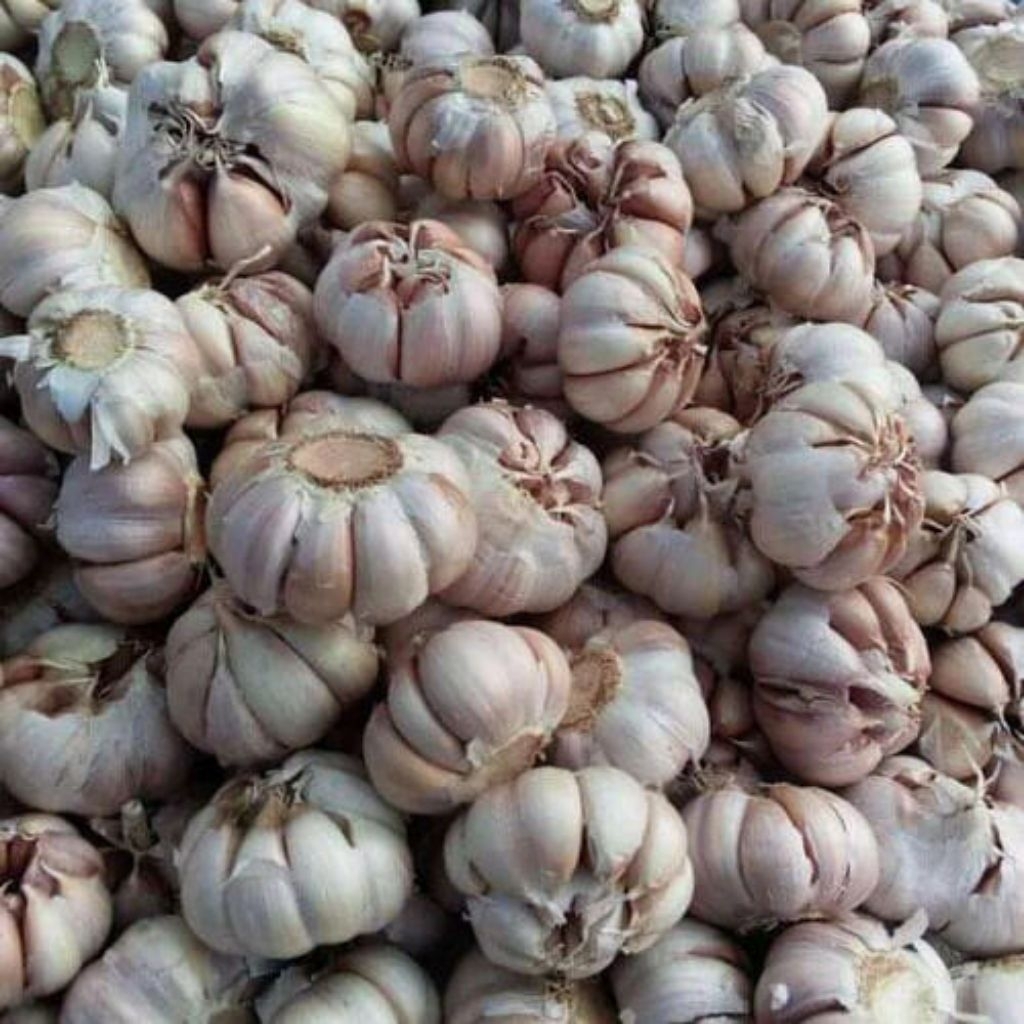 

BAWANG PUTIH BERAT BERSIH 1KG