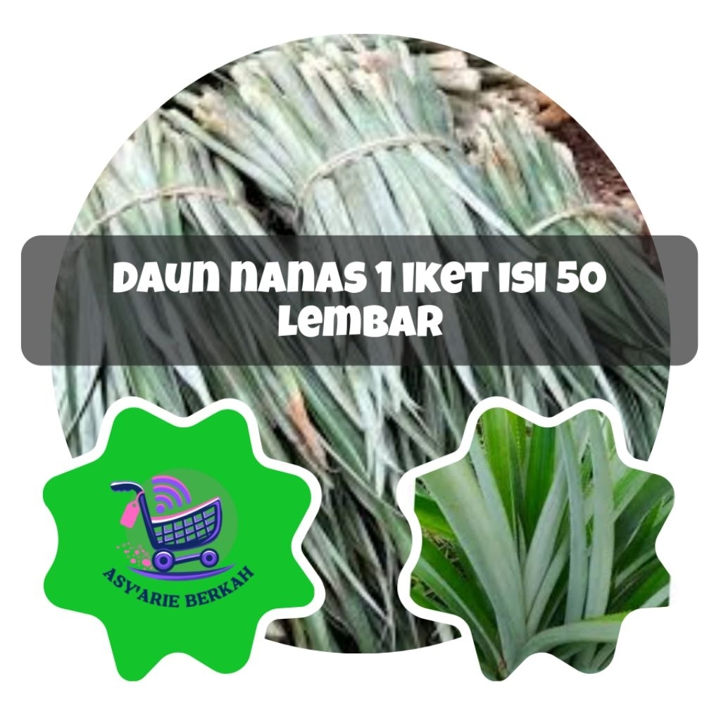 

Daun Nanas 1 Ikat - Isi 50 Lembar