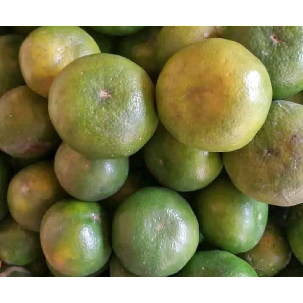 

jeruk Siam manis 1kg