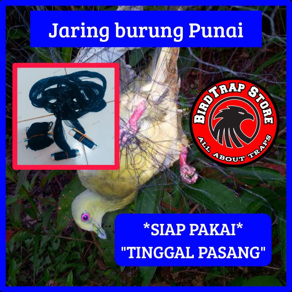 Jaring burung punai siap pakai panjang 5 meter, jebakan burung punai, perangkap burung punai, jala b
