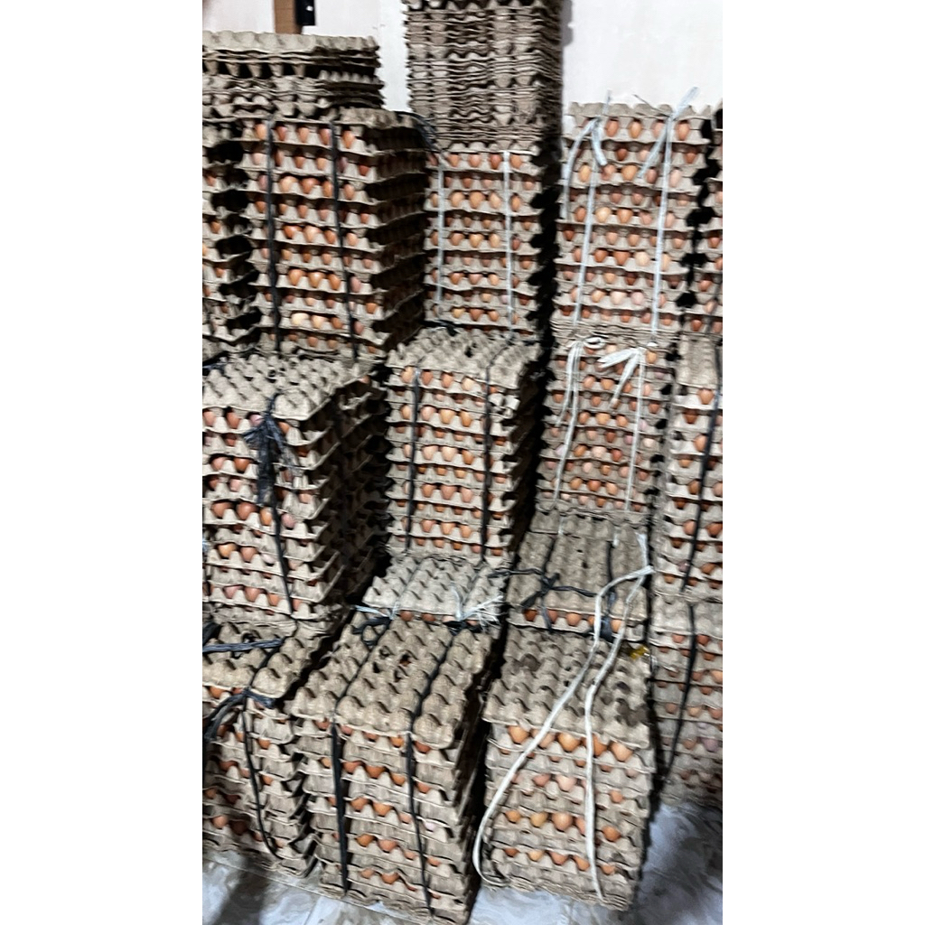 

Telur Ayam Eropa / Telur ayam / 1 papan Besar,Sedang,Kecil