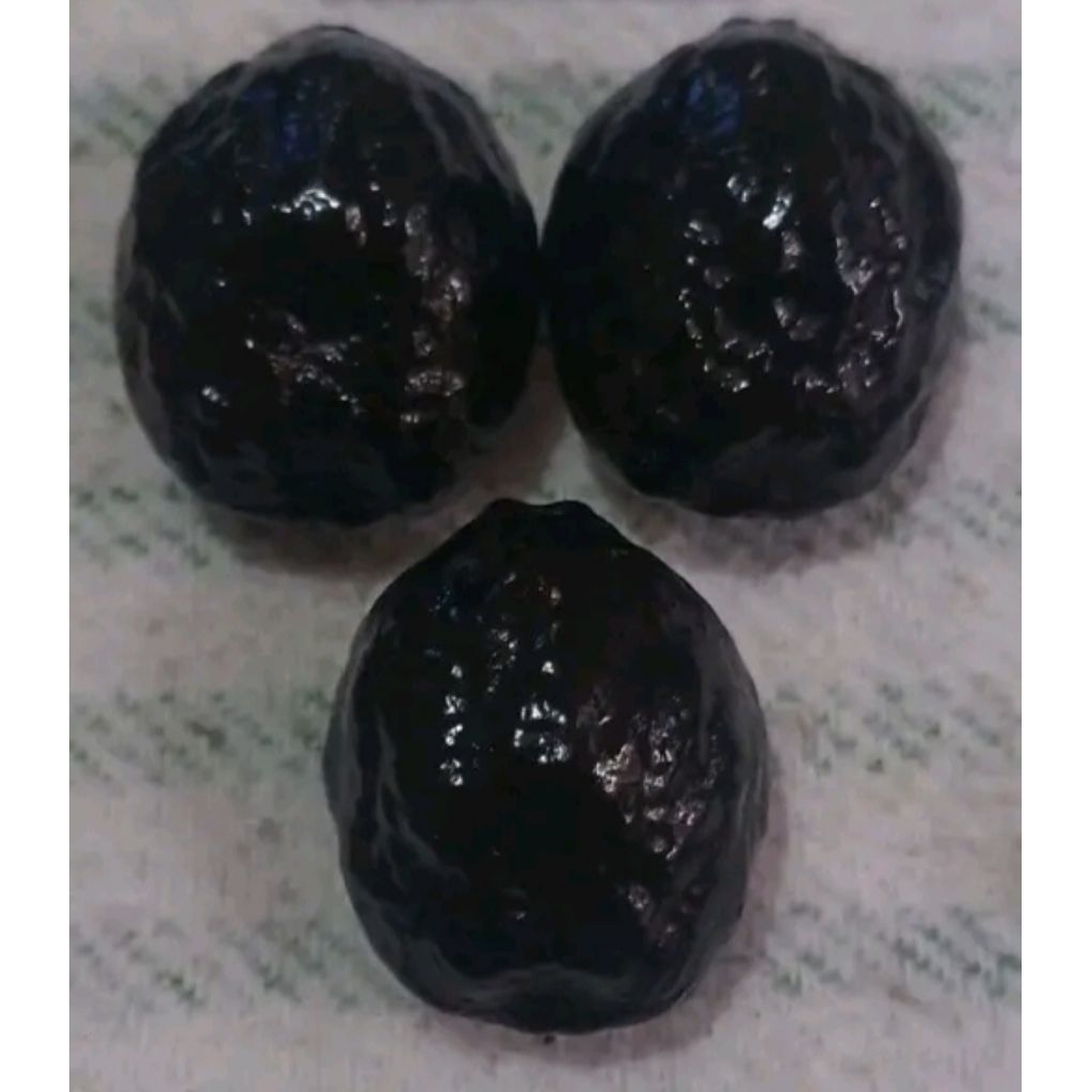 muncang aduan anak pait