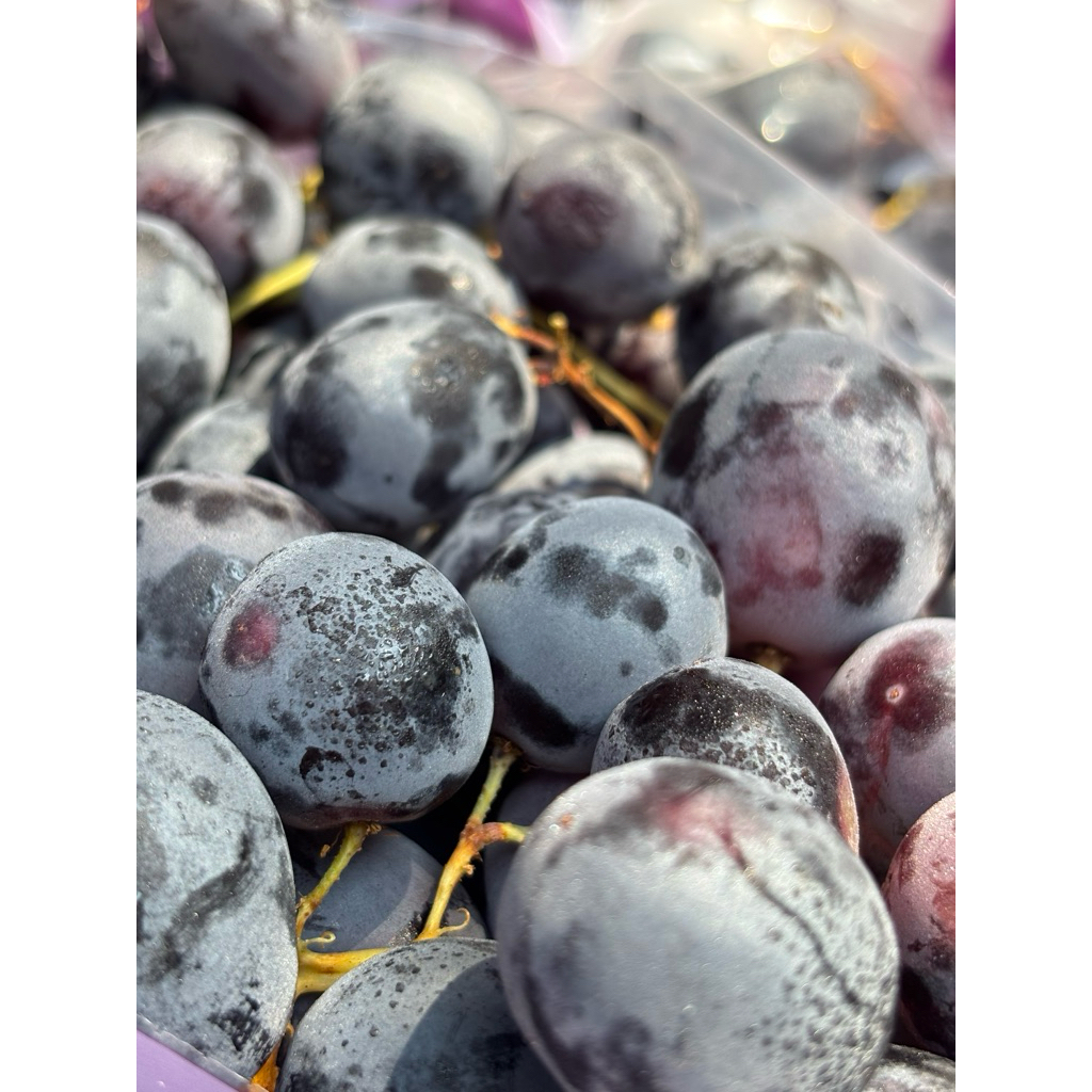 

Black Grape Australia