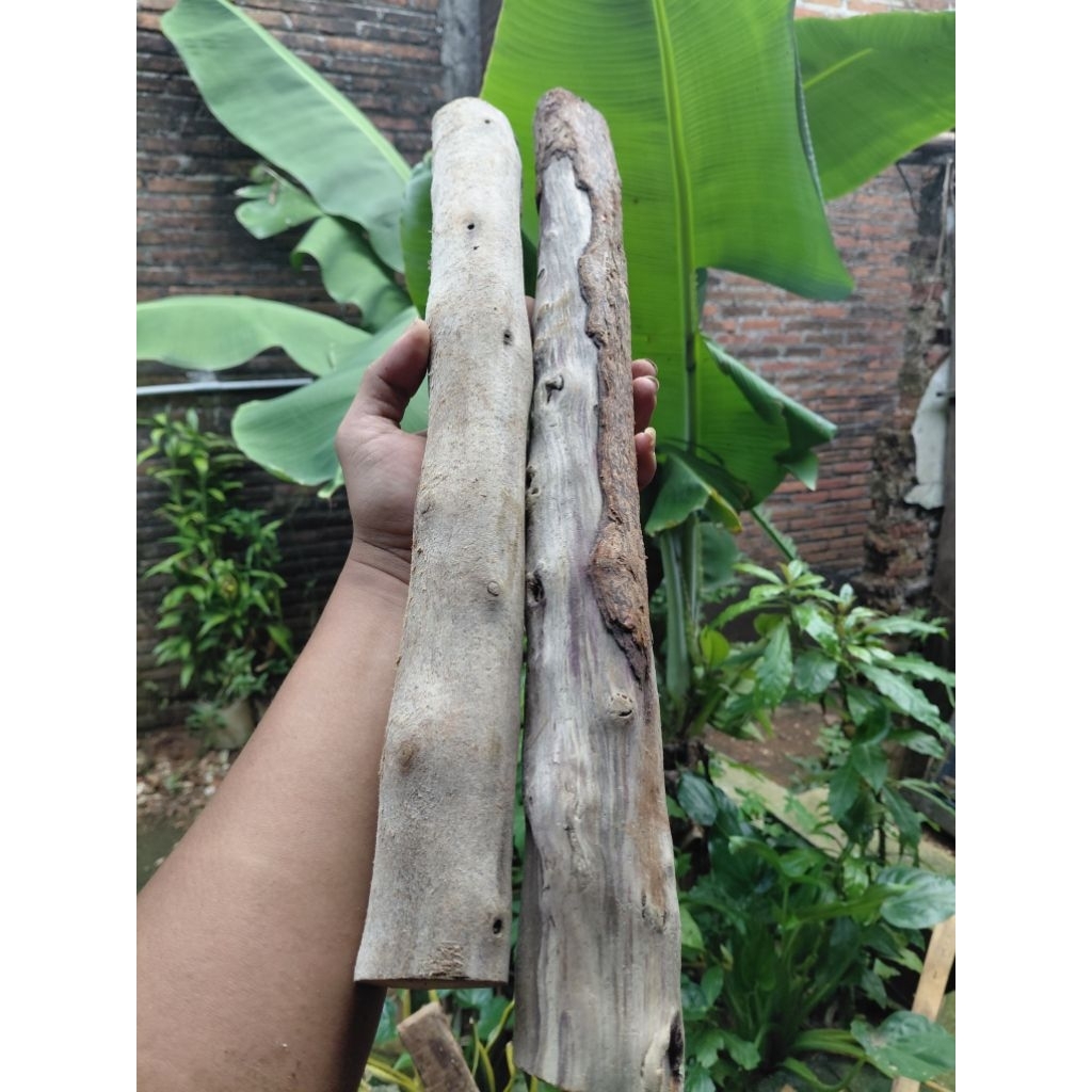 kayu tlogosari kalimantan