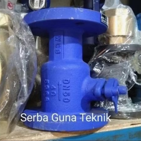 Blowdown Valve 1" inch PN 40 WCB Blow Down Flange DN 25