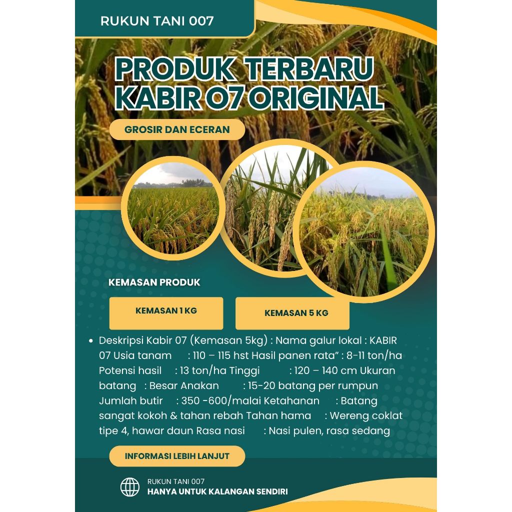 PADI KABIR 07 5kg
