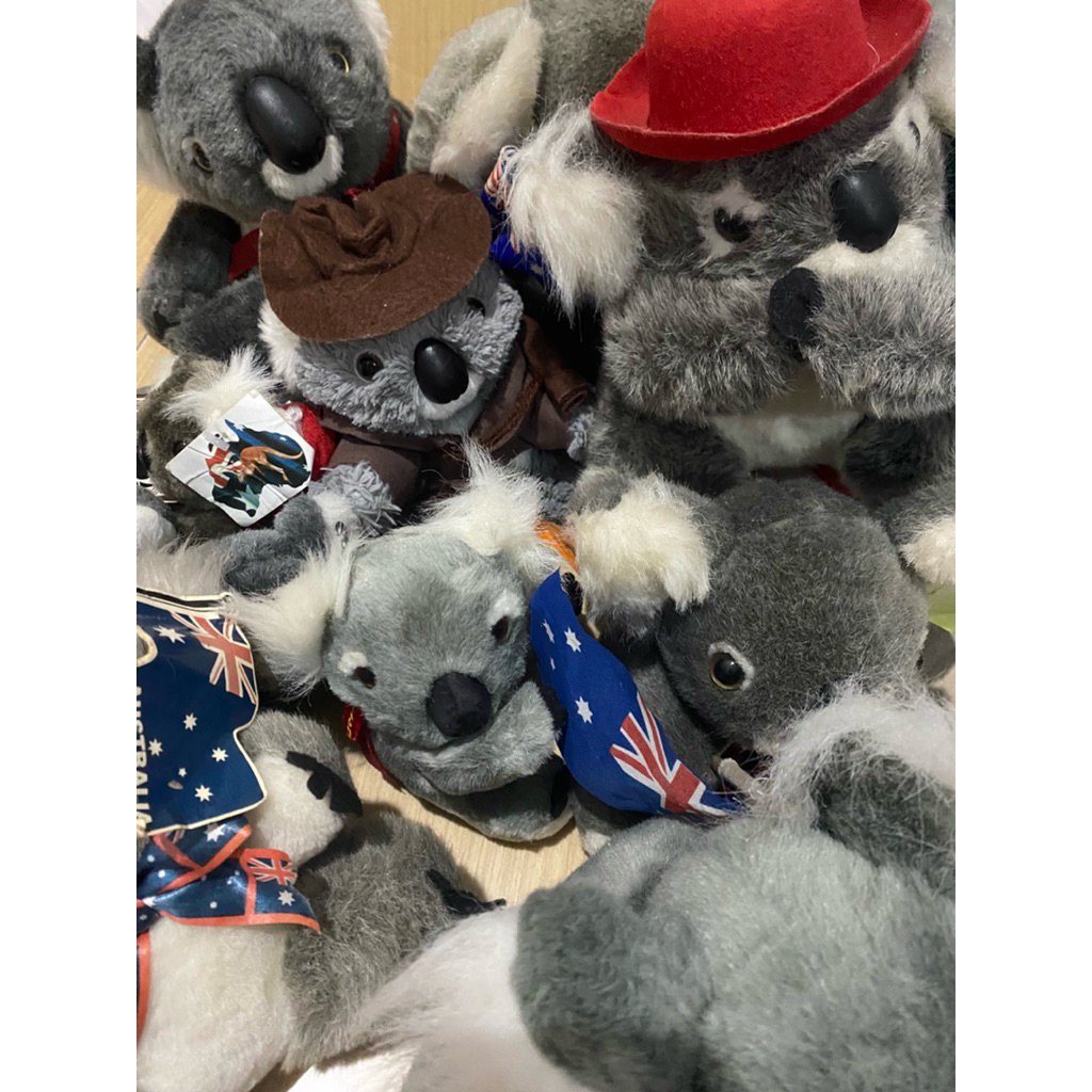 Boneka Koala Australia / souvenir australia original/ sydneyzoo australia