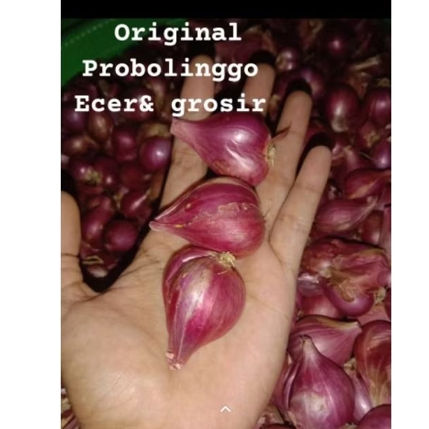 

bawang merah Probolinggo besar_ tanggung