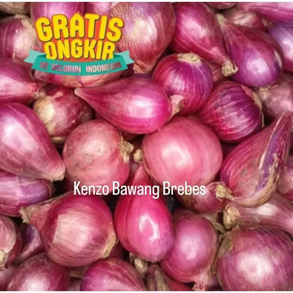 

Bawang merah 1kg / bawang merah Brebes super murah / bawang merah premium ukuran campur