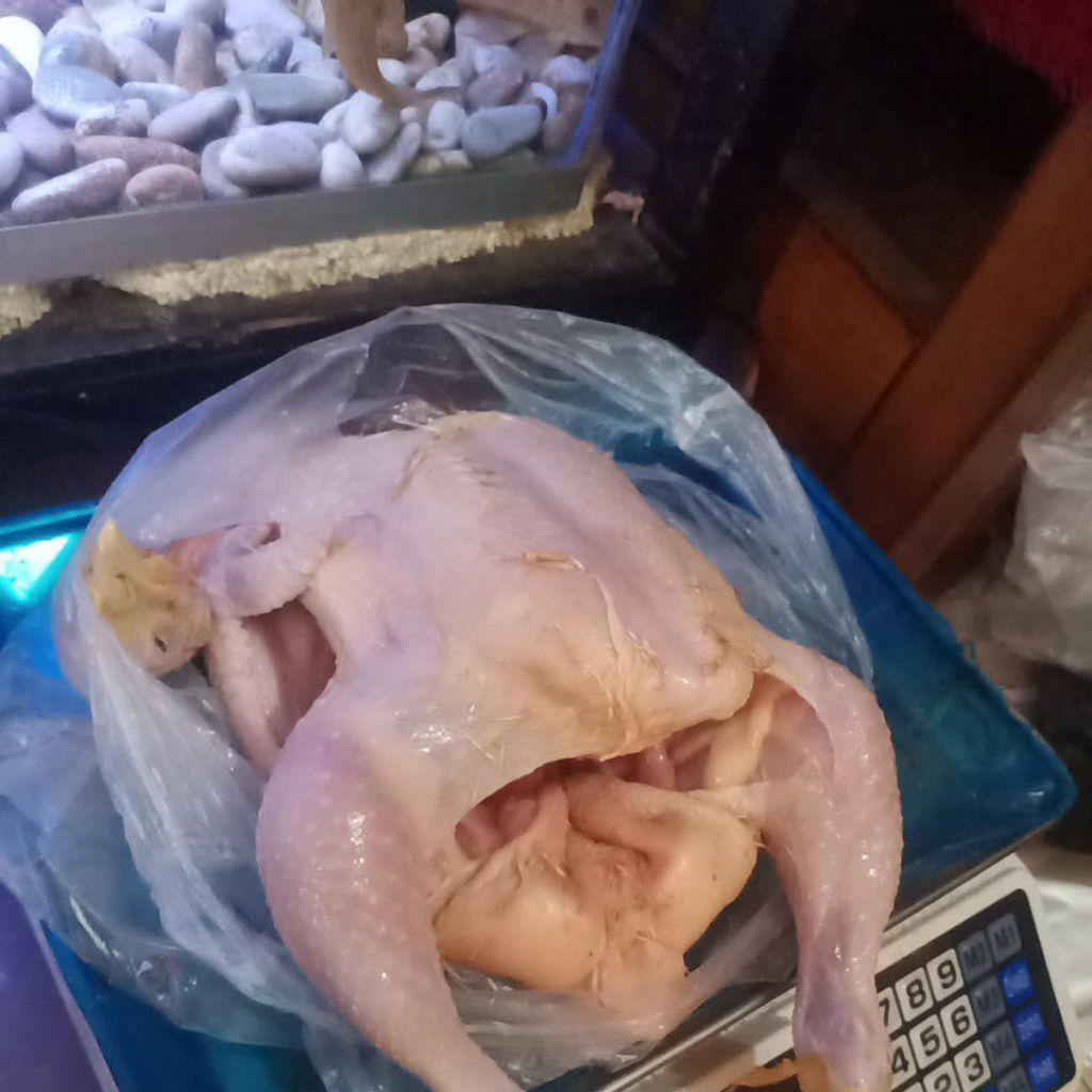 

ayam potong fresh 1.1 - 1.2kg
