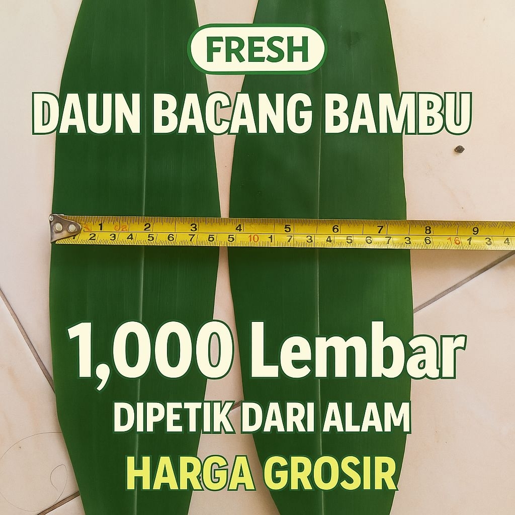 

Daun Bacang Bambu 1000 Lembar – Ukuran 6.8 cm | Harga Grosir | Daun Segar Dipetik Langsung