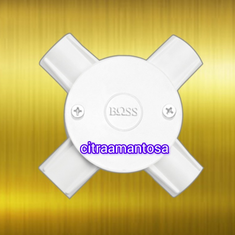 Boss B240/20/4 - 4 Way Junction Box