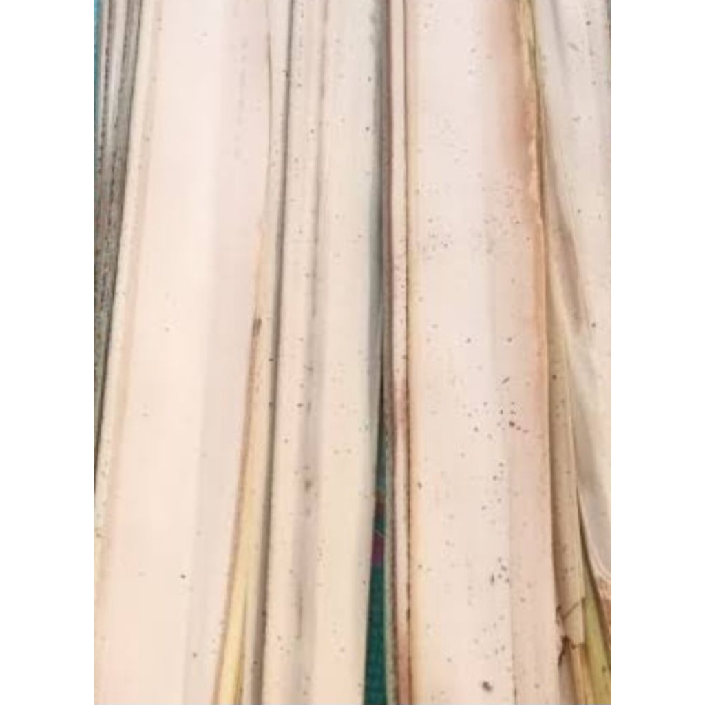 

Jual daun aren segar per 25 helau