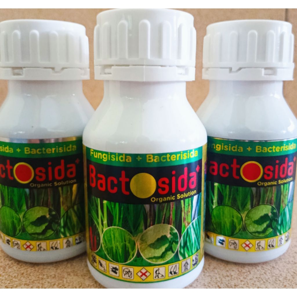 BAKTERISIDA dan FUNGISIDA