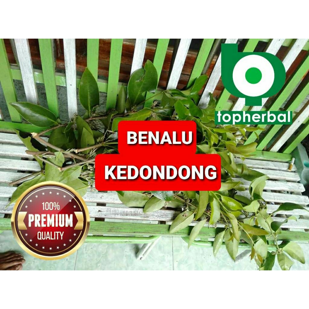 

Daun benalu kedondong kering hijau grade A+ 1kg/1000gram