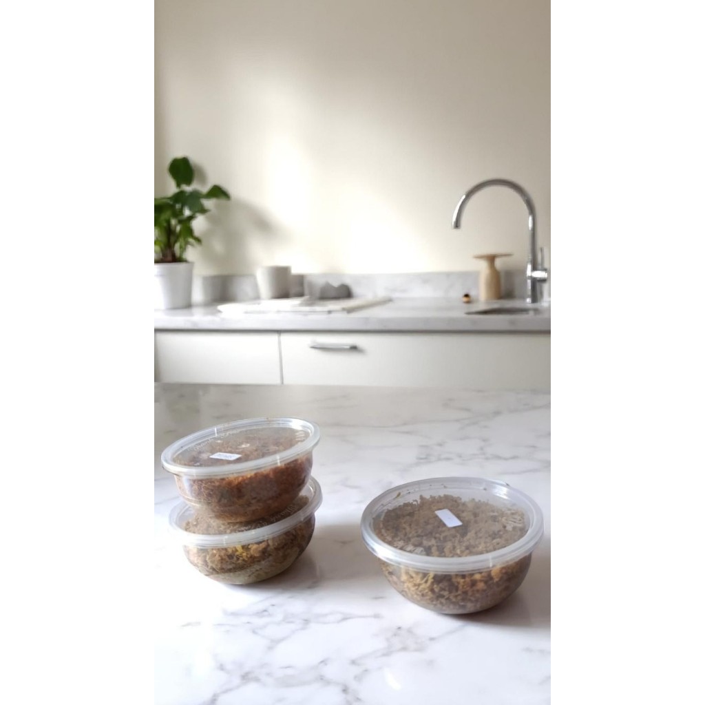 

Abon ayam ready to eat variant pedas dan non pedas 200ml homemade