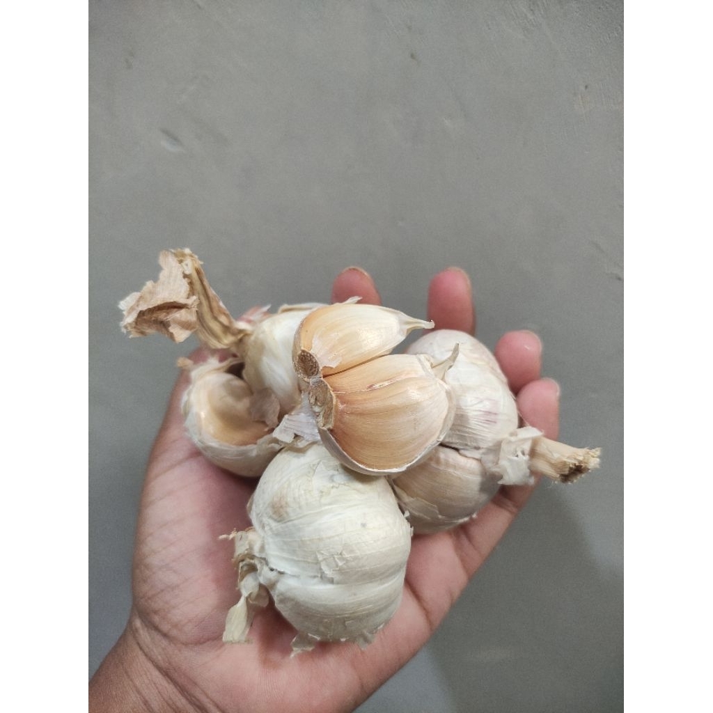 

BAWANG PUTIH SINCO BUMBU DAPUR MURAH 250GRAM 500GRAM 1KILOGRAM MURAH