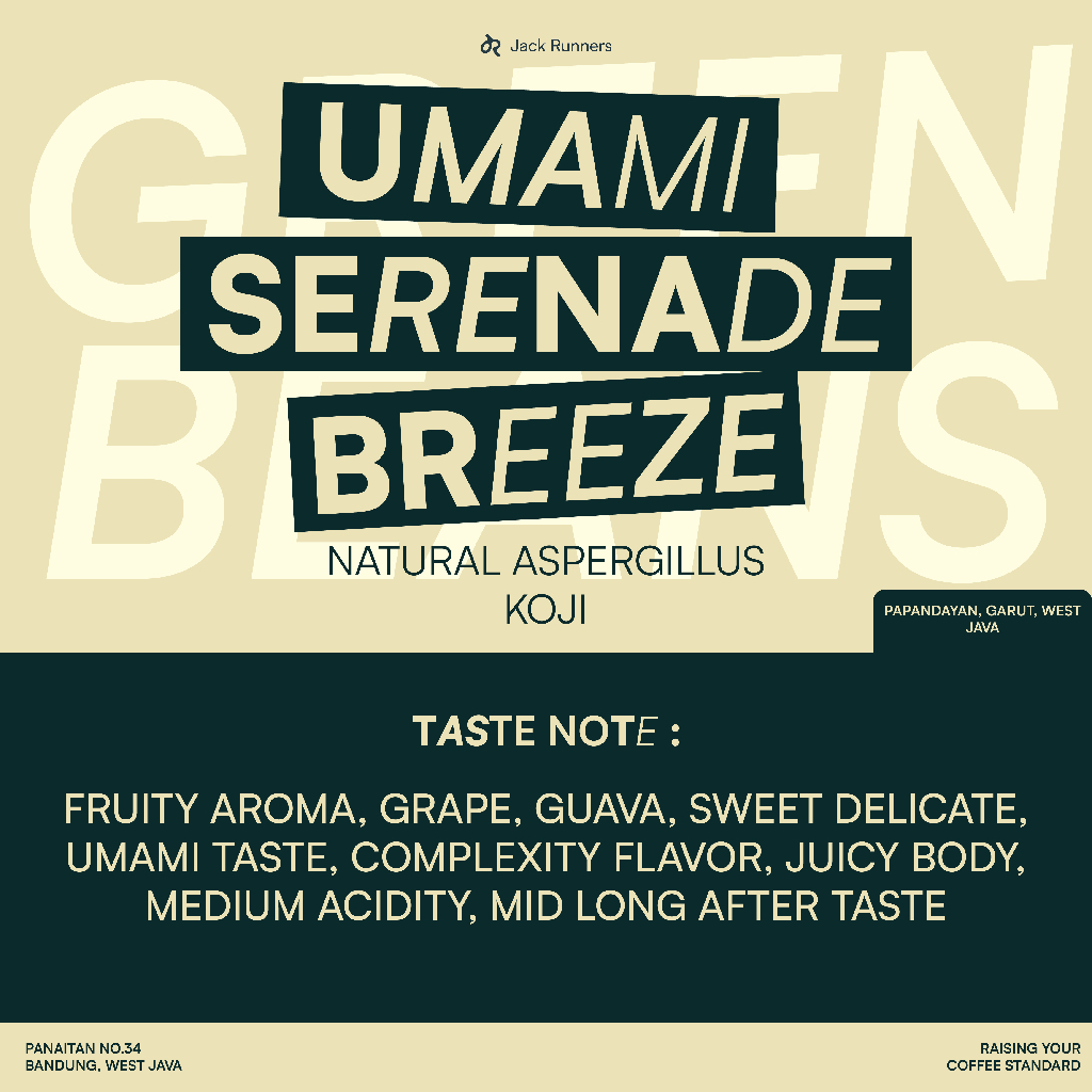 

JACK RUNNERS ROASTERY - UMAMI SERENADE BREEZE - GREEN COFFEE BEANS