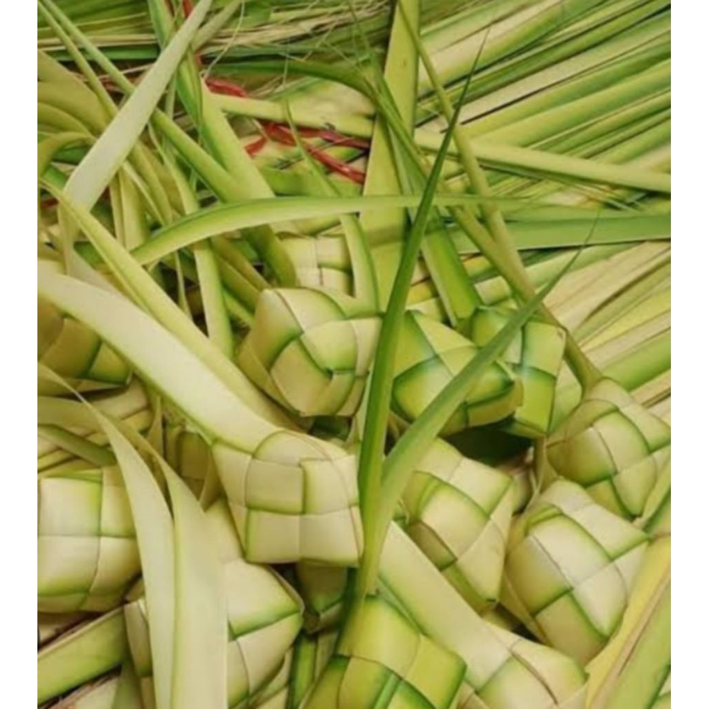 

Ketuoat Daun Janur Kuning 10 pcs