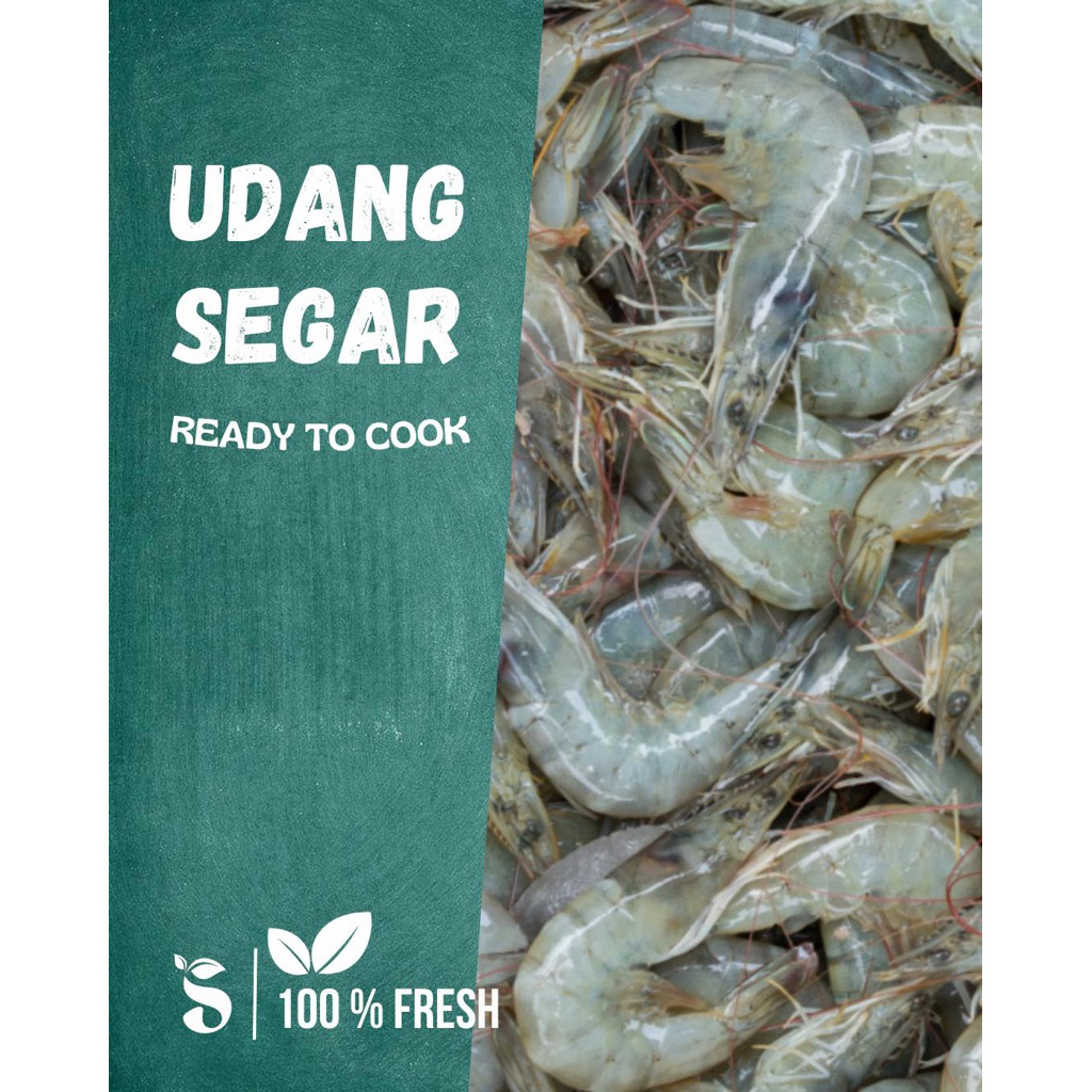 

Udang Vannamei Udang Segar Size 80