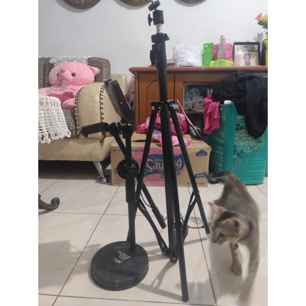 TONGSIS TWS DAN MIXIO PRELOVE