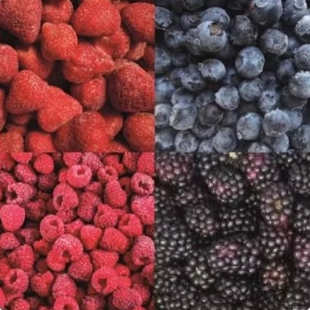 

Mixed Berry Impor Frozen IQF 4 Ways | Mix Berry Impor Frozen IQF 4 Ways -Best Seller-