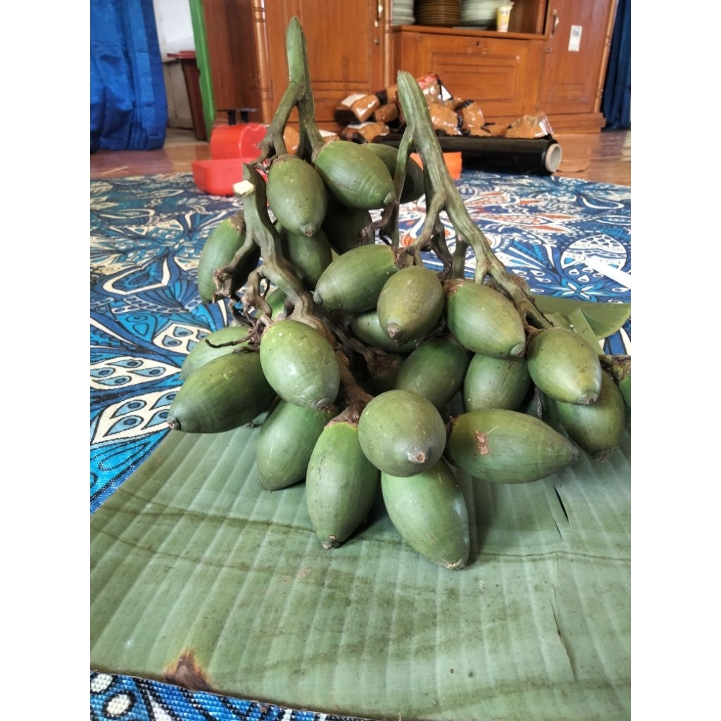 

Buah Pinang Muda Bertangkai Segar isi 35