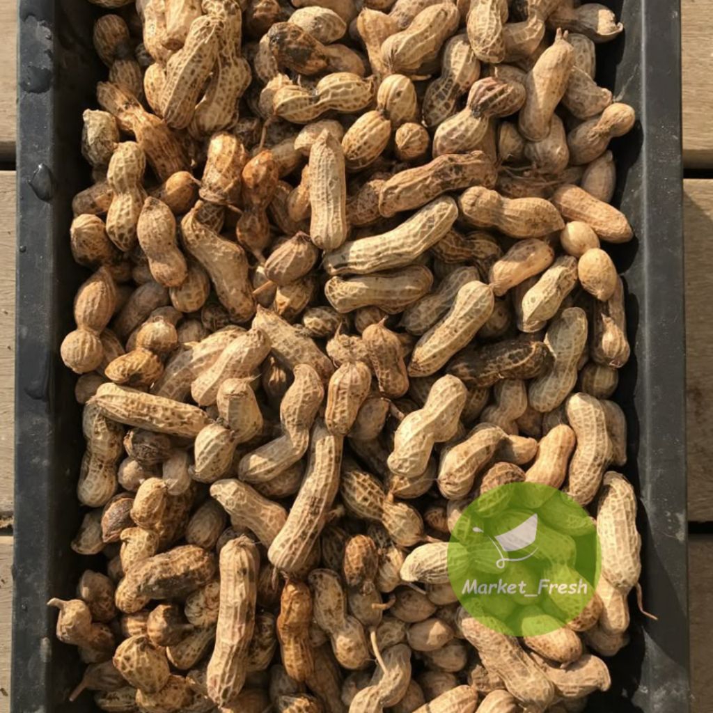 

Kacang Tanah Mentah | 15.000