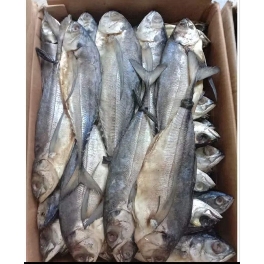 

ikan asin caru bulat berat 500 gram