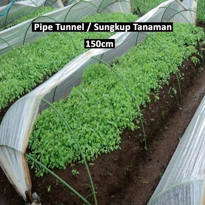 Berkualitas Sungkup Tanaman  Pipe Tunnel 8 x 15mm 15cm 3 Pcs
