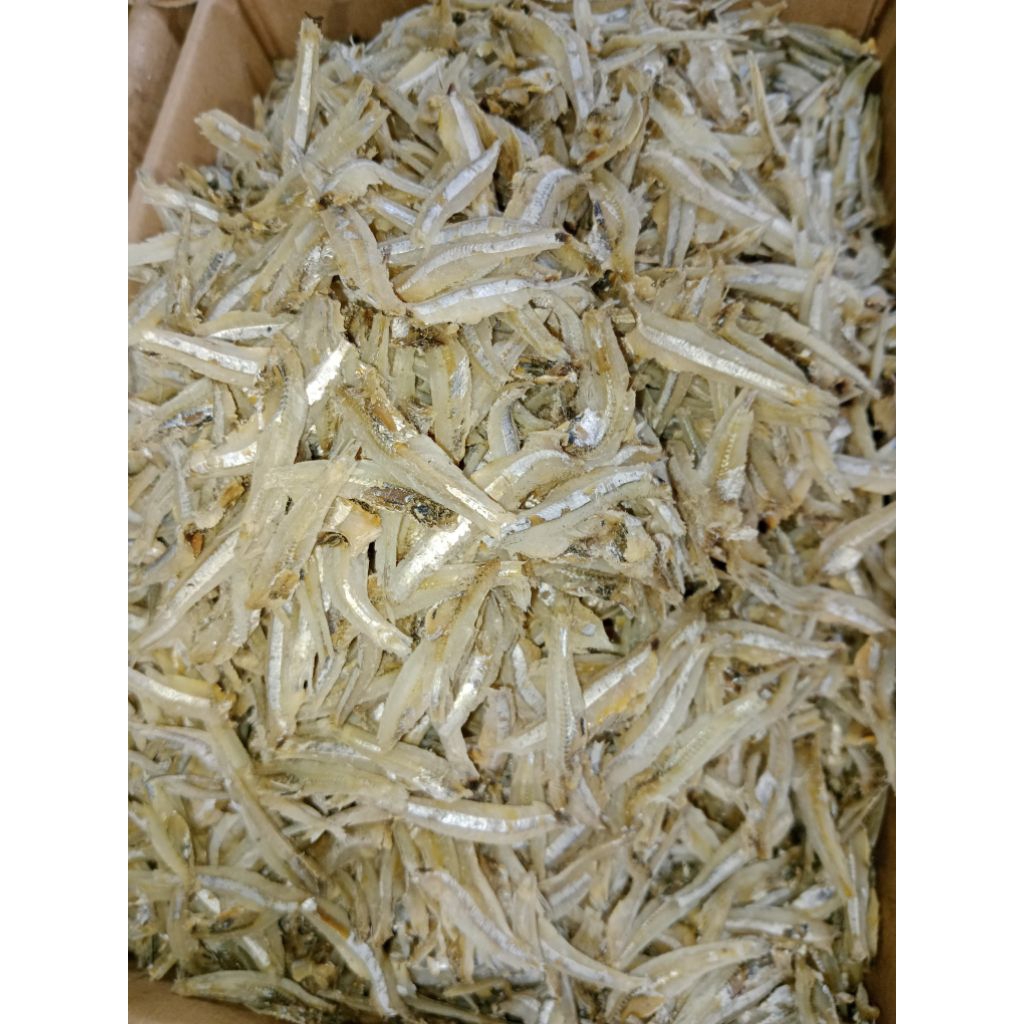 

IkanAsinTERI JENGKI PREMIUM store IKS