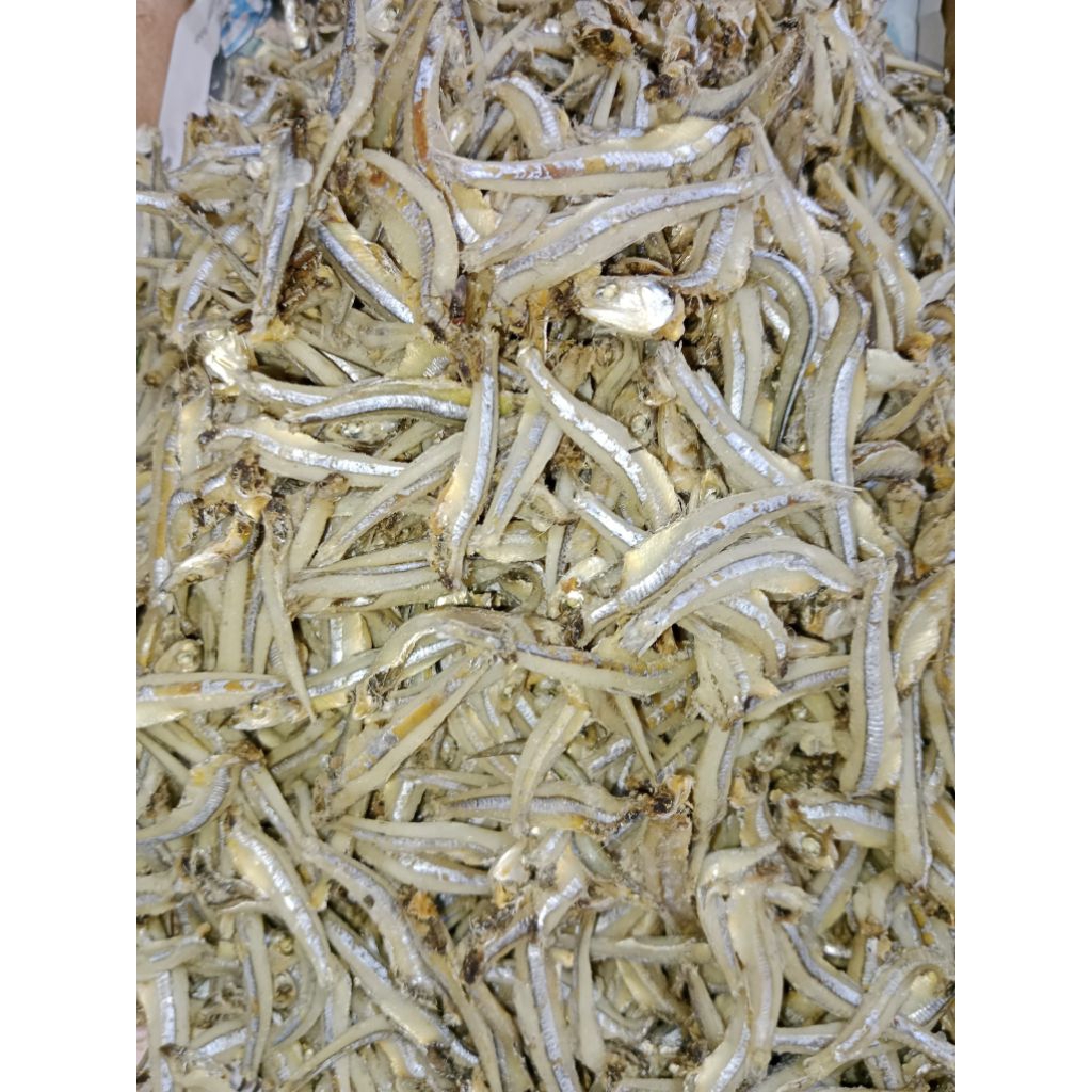 

IkanAsinTERI JENGKI BESAR store IKS