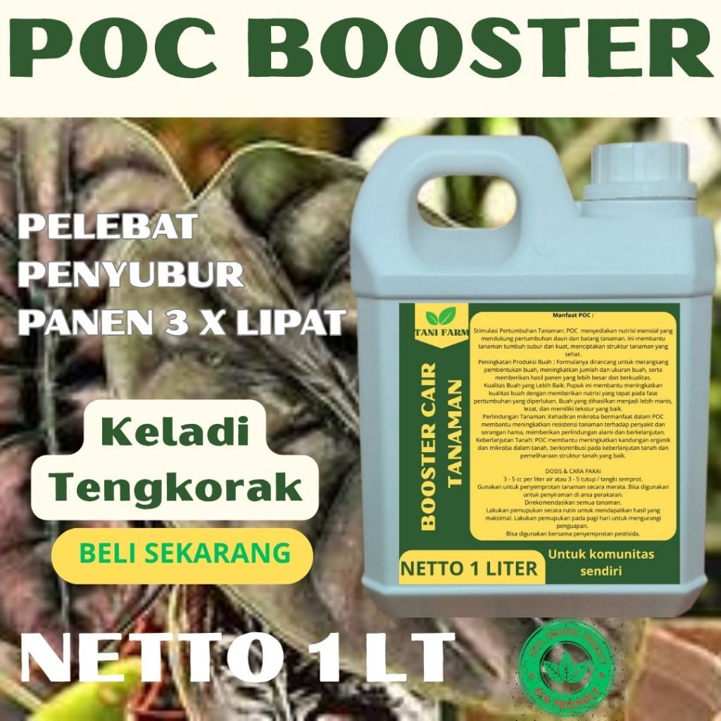 Pupuk Super Booster Cair Buat Tanaman KELADI TENGKORAK terawat hasil maksimal daun indah