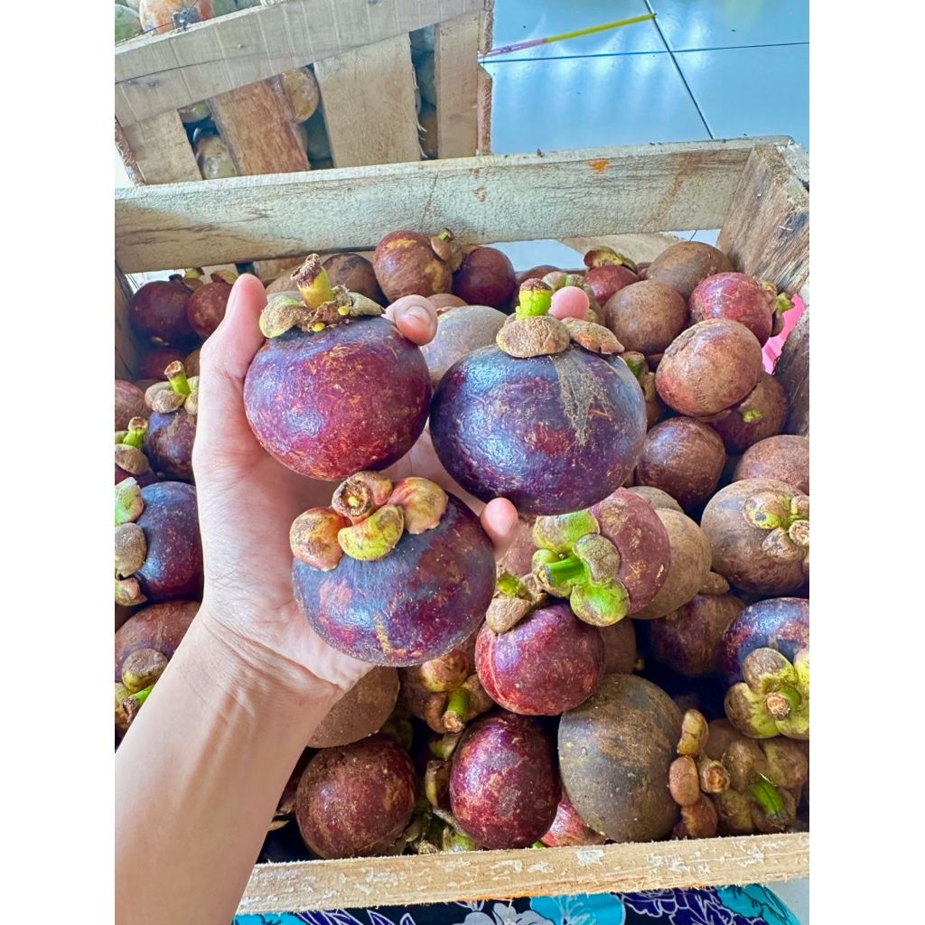 

Buah Manggis super manis 1 Kg