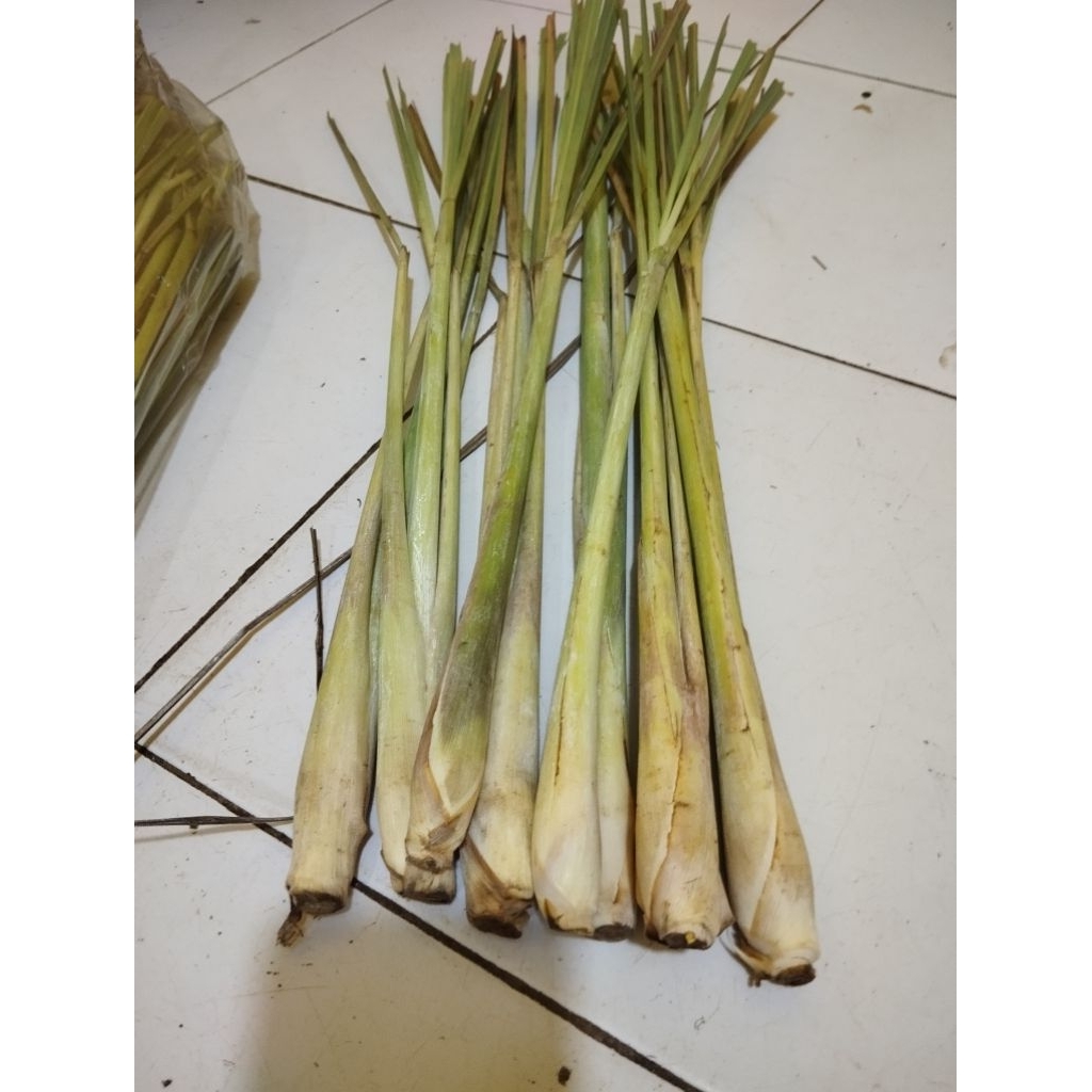 

sereh segar 1 kg