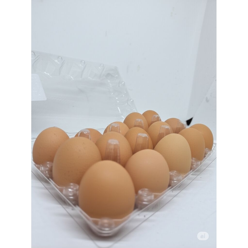 

Papap Telur Ayam Omega 3 isi 15 butir