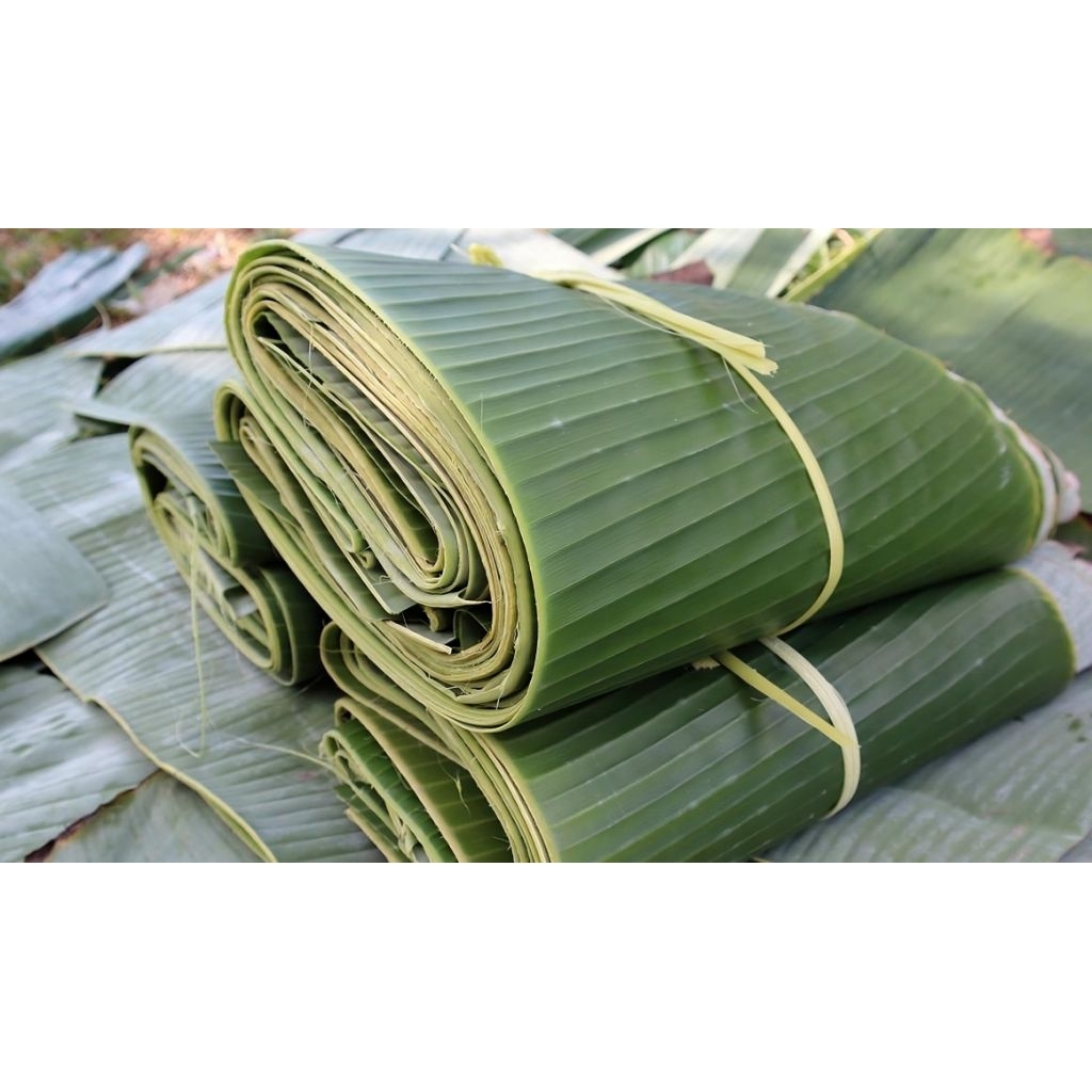 

daun pisang segar satu lipet isi 20-25 lembar