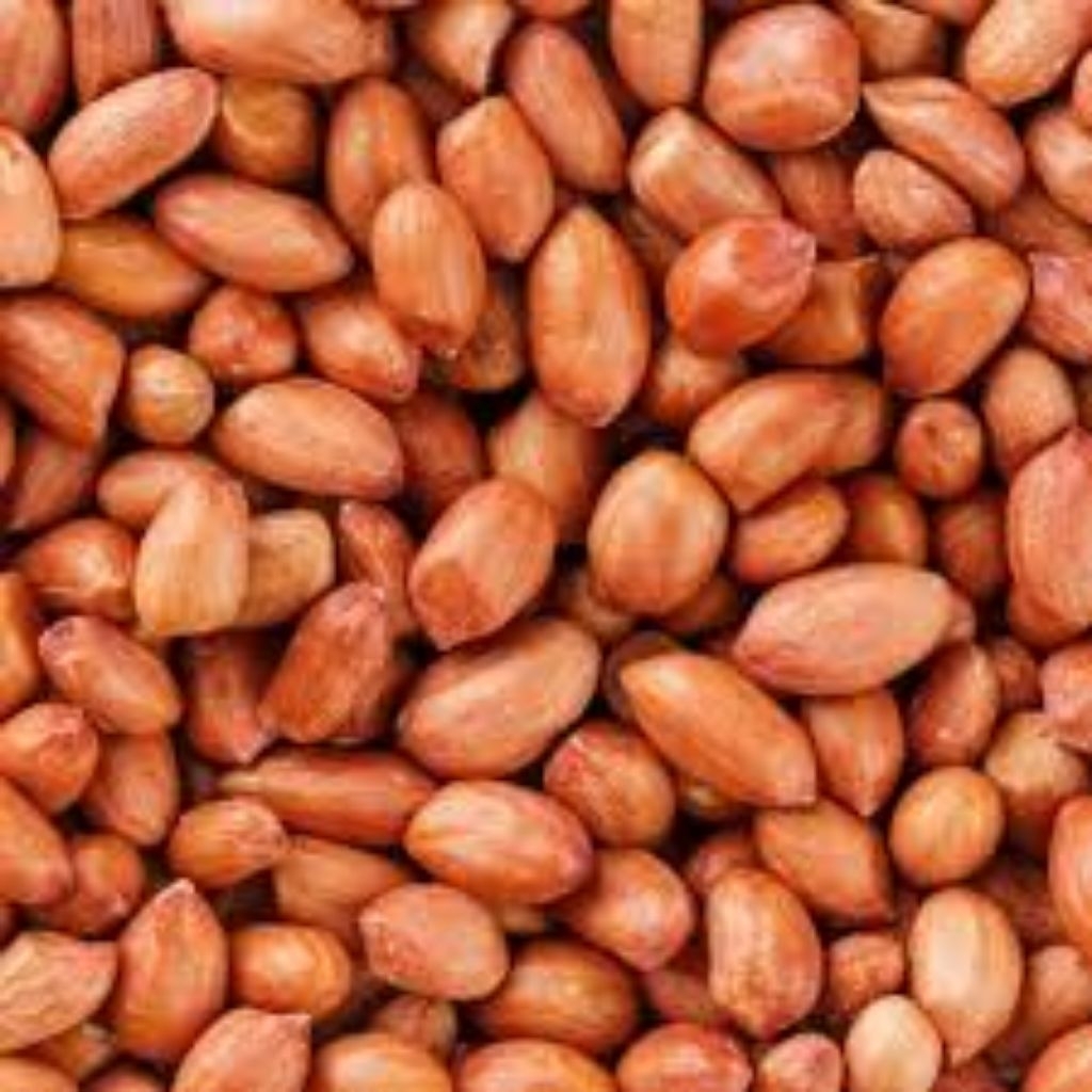 

Kacang tanah super gurih 500 gram