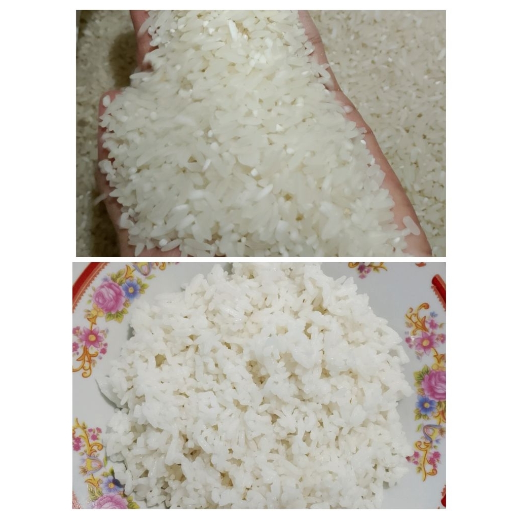 

SERANG CAMPUR BRAMO