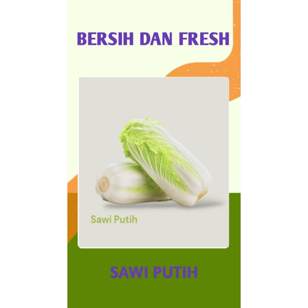 

SAYUR SAWI PUTIH SEGAR DAN BERSIH