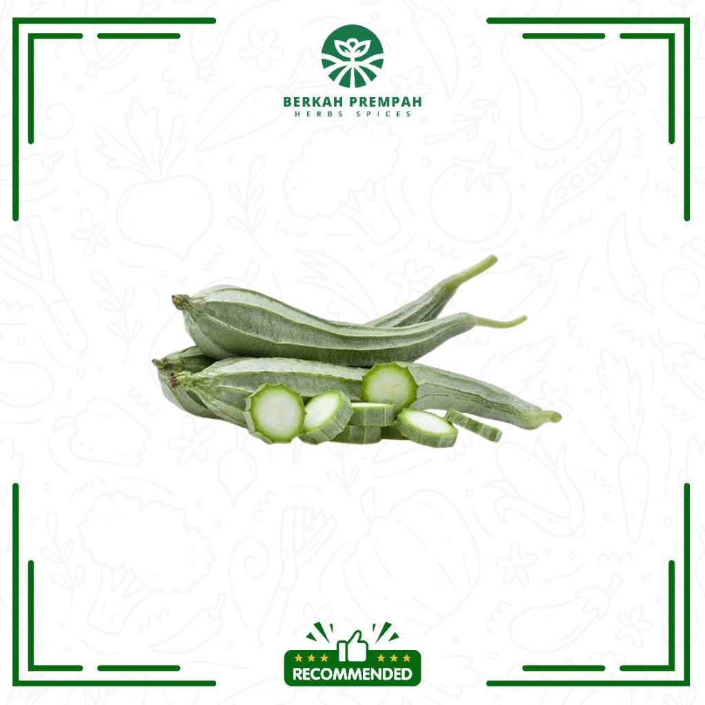 

Sayur oyong segar / fresh sayur gambas - BerkahPrempah