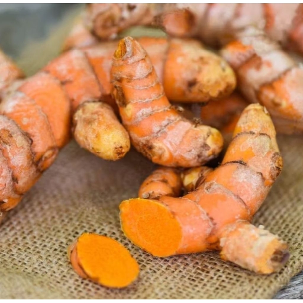 

Kunir kunyit jawa tua super 1kg